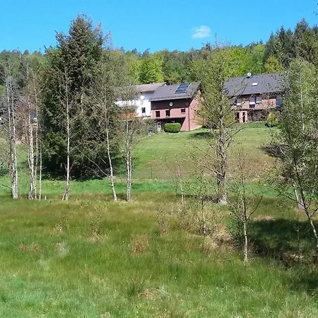 Spatzennest Apartment Mossautal