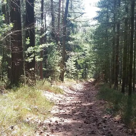 Spatzennest Apartment Mossautal