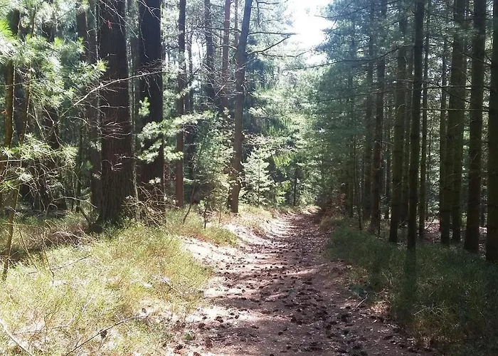 Spatzennest 公寓 Mossautal